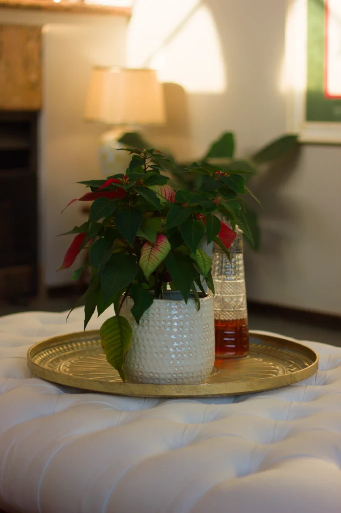 Pytchley House coffee table